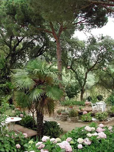 Hostal Magnolia Lloret de Mar